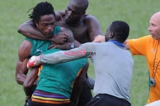 Côte dÂ’Ivoire : Deux éléphants se bagarrent à  lÂ’entraînement !